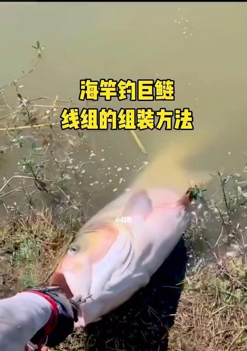 冬天如何垂钓鲢鳙？掌握哪些技巧能提高成功率？  第3张