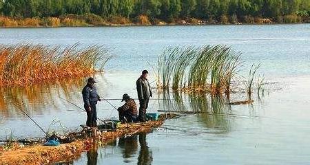 冬天打窝钓鱼技巧有哪些？如何提高冬季钓鱼成功率？  第1张