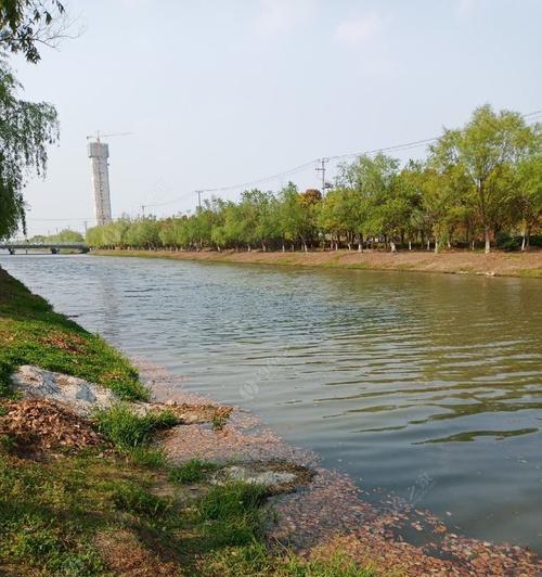 冬天大风钓鱼技巧和方法是什么？如何应对风大天气钓鱼？  第1张
