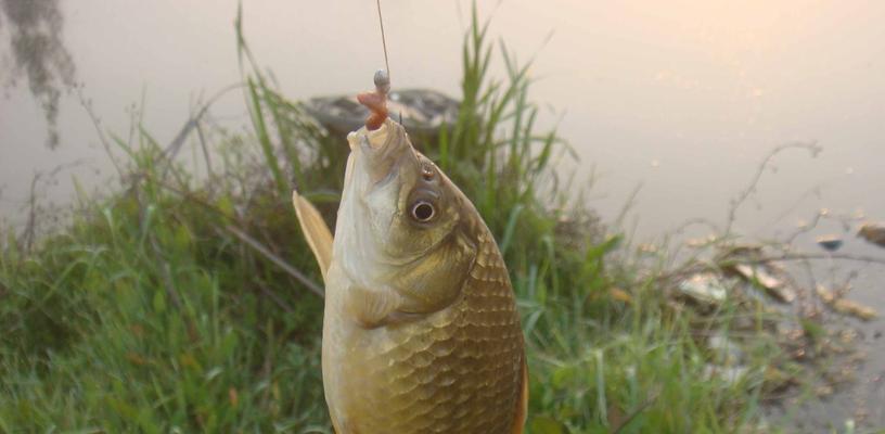 冬天大风钓鱼技巧和方法是什么？如何应对风大天气钓鱼？  第3张