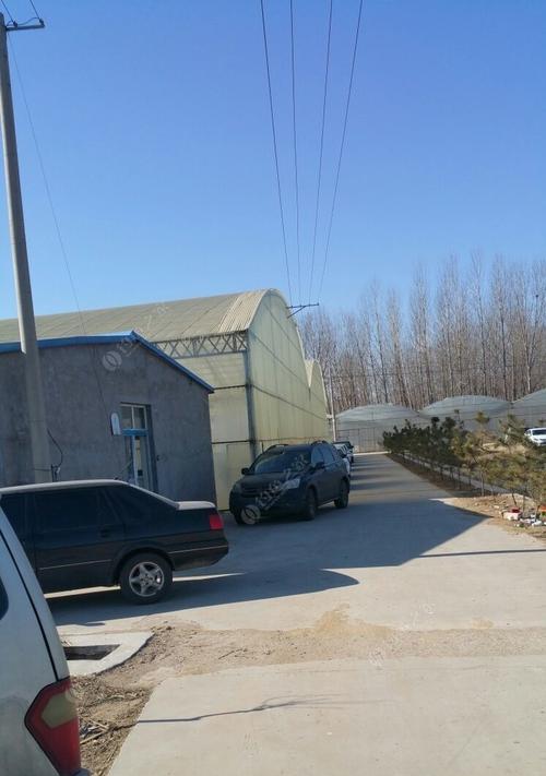 冬天大棚钓鱼选位技巧是什么？如何选择最佳钓位？  第3张