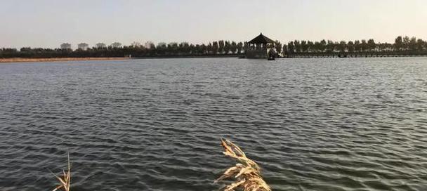 冬天到水库钓鱼技巧是什么？如何应对低温天气的钓鱼挑战？  第3张