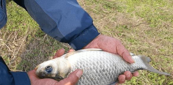 冬天钓鱼不封竿技巧有哪些？如何在寒冷季节保持钓鱼热情？  第1张