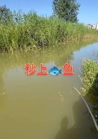 冬天钓鱼打冰窟技巧是什么？如何安全有效地进行？  第1张