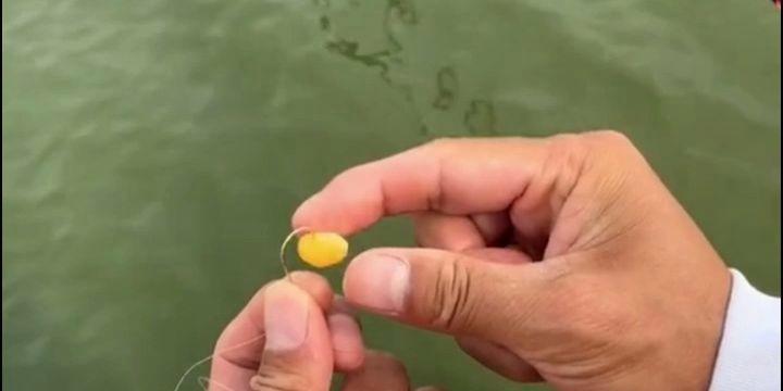 冬天钓鱼打冰窟技巧是什么？如何安全有效地进行？  第2张