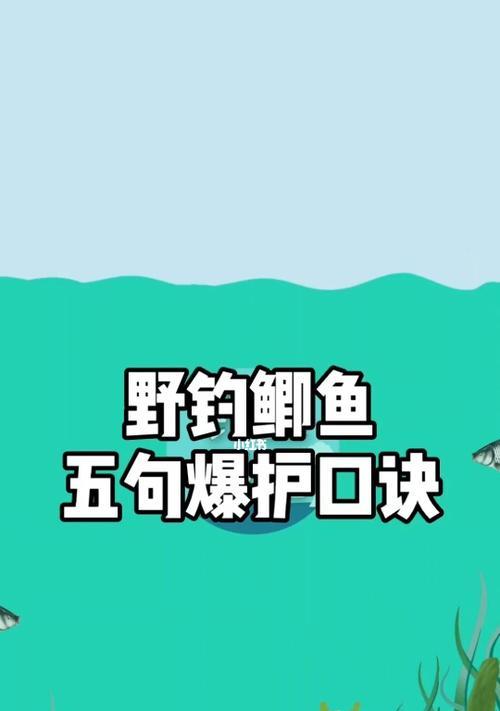 冬天钓鱼怎么才能钓到鱼？有哪些实用的钓鱼口诀？  第2张