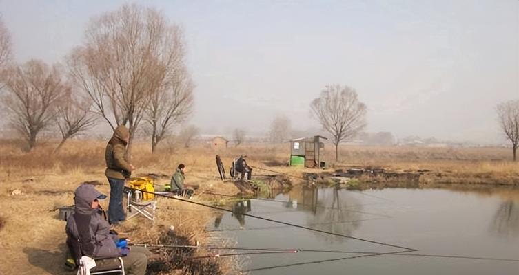 冬天钓鱼调标技巧是什么？如何在寒冷季节提高钓鱼效率？  第3张