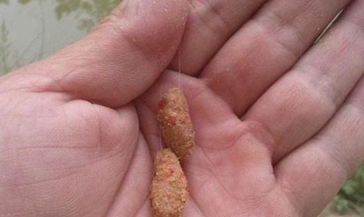 冬天钓鱼饵料搭配小技巧？如何提高冬季钓鱼成功率？  第1张