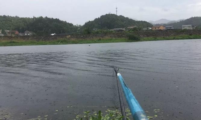 冬天钓鱼方法和技巧有哪些？如何提高冬季钓鱼的成功率？  第2张