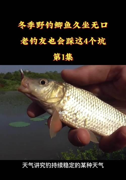 冬天钓鱼技巧打窝有哪些？如何正确打窝提高钓鱼效率？  第2张
