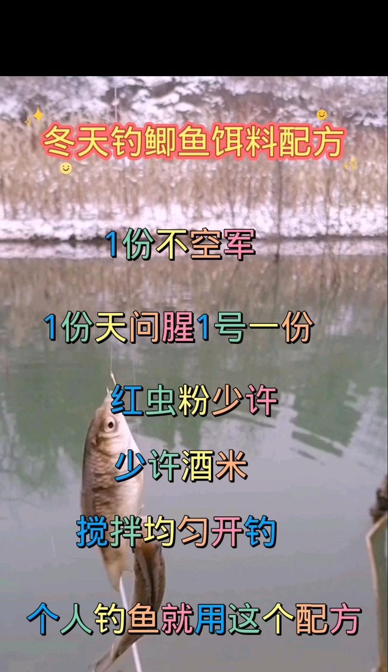 冬天钓鱼技巧和饵料配方是什么？如何在寒冷季节提高钓鱼成功率？  第2张