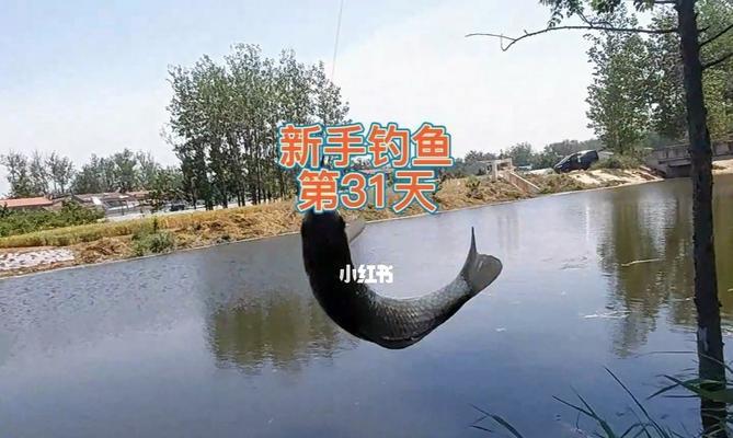 冬天钓鱼技巧教学教程？如何在寒冷季节成功钓到鱼？  第3张