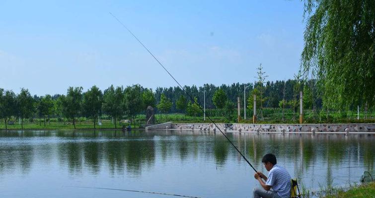 冬天钓鱼技巧口令是什么？如何提高冬季钓鱼成功率？  第2张