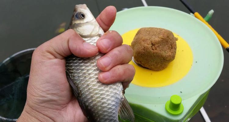 冬天钓鱼技巧让你大有收获？如何在寒冷季节提高钓鱼成功率？  第2张