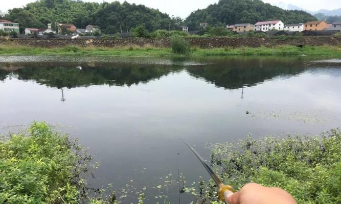 冬天钓鱼用蚯蚓有哪些技巧？如何提高冬季钓鱼成功率？  第3张