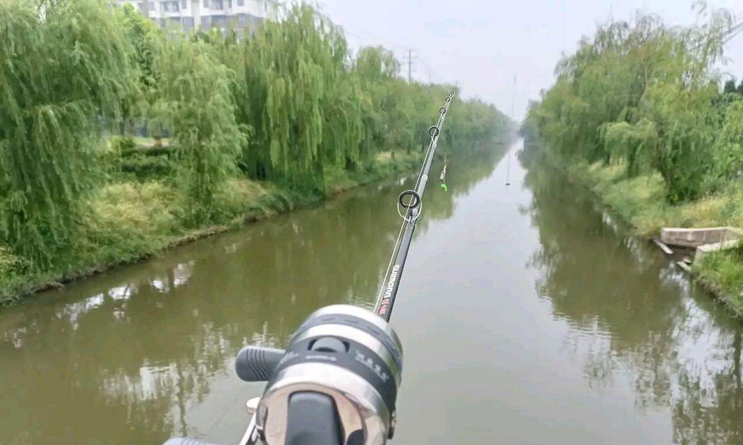 冬天钓鱼技巧文案有哪些？如何应对冬季钓鱼的常见问题？  第2张