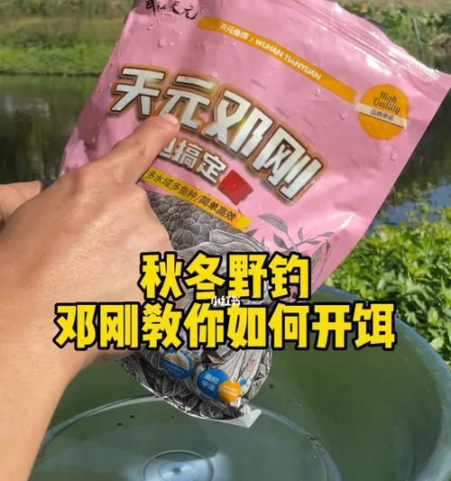 冬天钓鱼技巧怎么打窝？有哪些有效的方法？  第2张