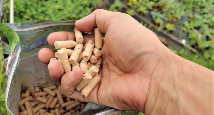 冬天钓鱼技巧怎么打窝最好？有哪些有效方法？  第2张