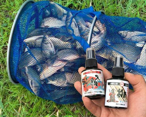 冬天钓鱼加小药技巧是什么？如何正确使用提高钓鱼效率？  第2张