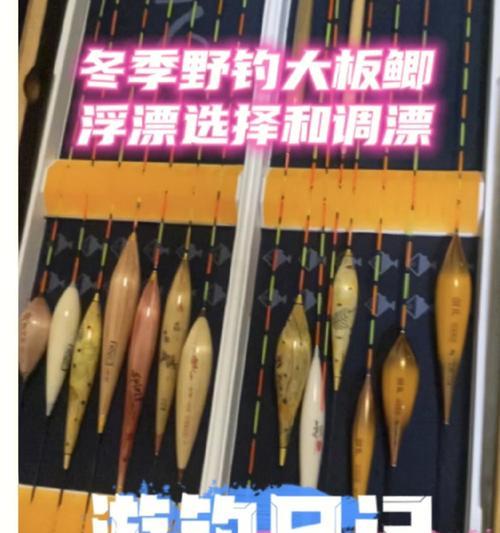 冬天钓鱼时如何正确观察浮漂？有哪些技巧可以提高钓鱼效率？  第3张