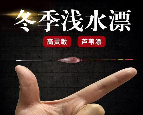 冬天钓鱼如何看漂？掌握这些技巧让你轻松钓到鱼？  第1张