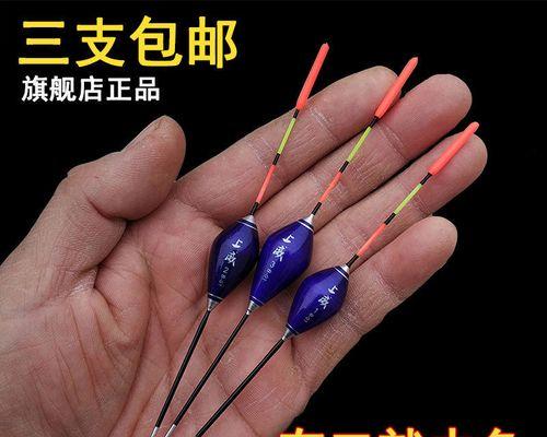 冬天钓鱼看漂技巧教程？如何在寒冷季节提高钓鱼成功率？  第1张