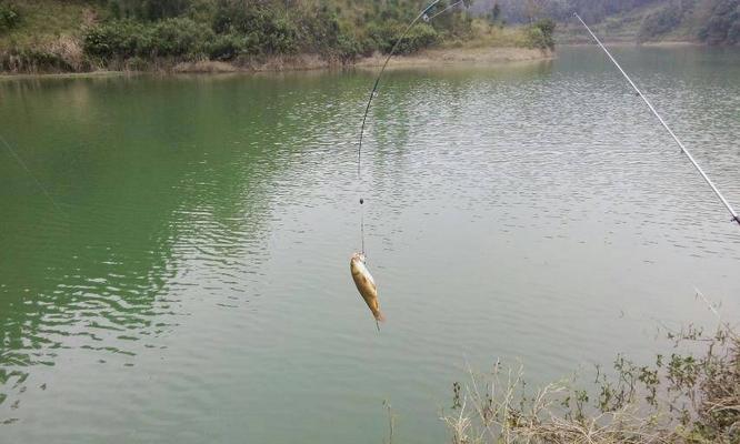 冬天钓鱼用饵技巧有哪些?如何根据季节调整钓鱼饵料? 第3张 冬天钓鱼用饵技巧有哪些?如何根据季节调整钓鱼饵料? 第3张