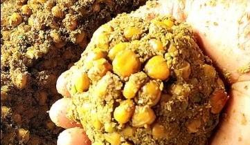 冬天钓鱼用饵技巧是什么？调钓思路如何解析？  第2张