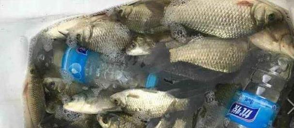 冬天钓鱼用技巧有哪些？如何应对冬季钓鱼的常见问题？  第2张