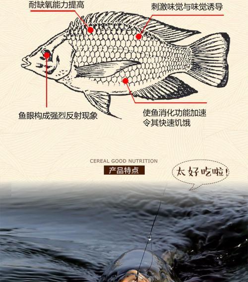 冬天钓鱼如何有效促食？有哪些技巧和方法？  第3张