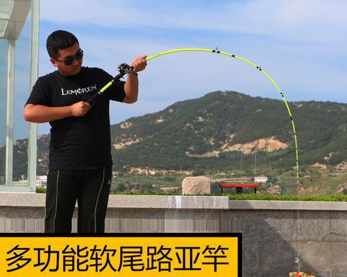冬天筏竿野钓鲤鱼有哪些技巧？如何提高钓鲤鱼的成功率？  第3张