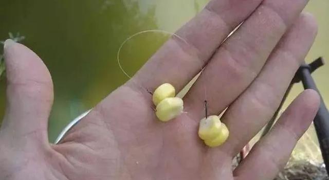 冬天肥水钓鱼技巧有哪些？如何提高冬季钓鱼成功率？  第3张