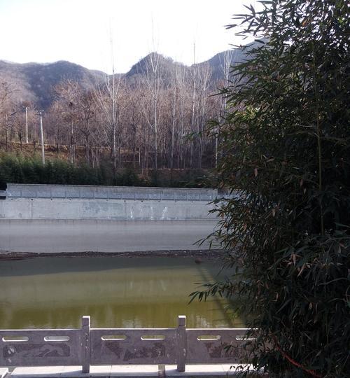 冬天肥水坑钓鱼技巧和方法是什么？如何提高冬季钓鱼成功率？  第3张