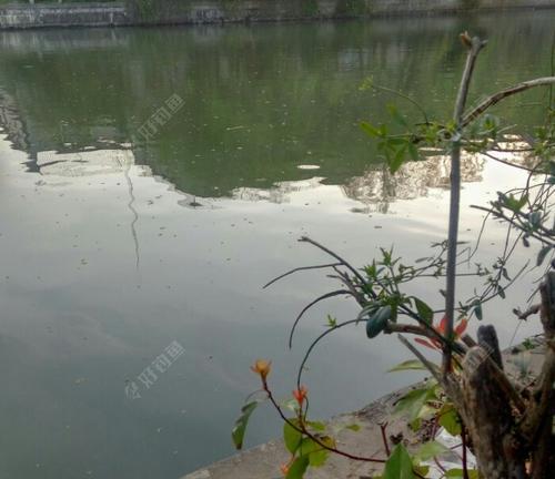 冬天风浪大钓鱼技巧和方法是什么？如何应对风浪大的钓鱼环境？  第3张