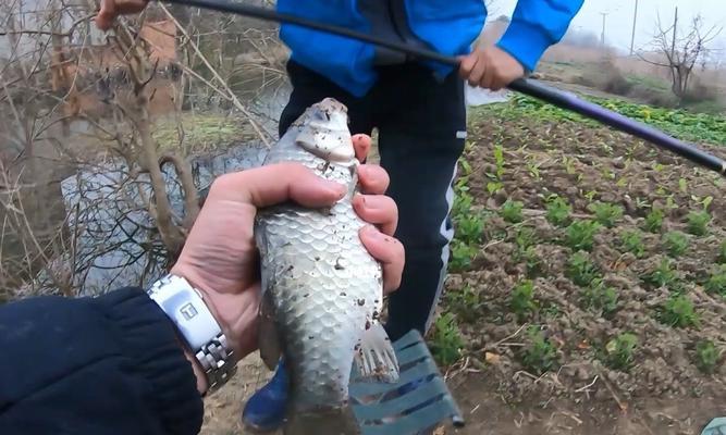 冬天封竿钓鱼技巧有哪些？如何应对冬季钓鱼的挑战？  第2张