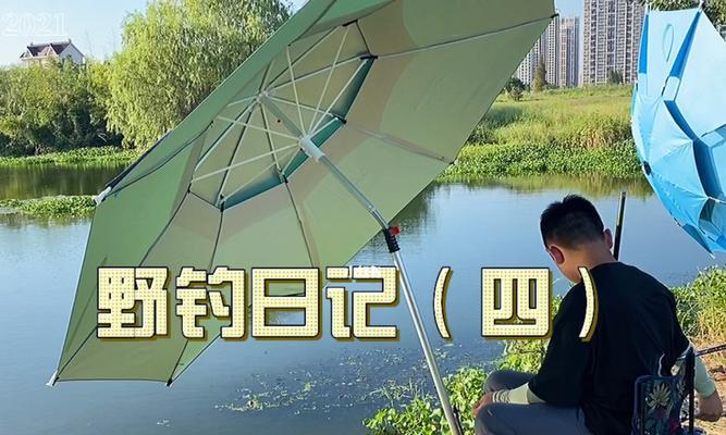 冬天高温钓鱼技巧有哪些？如何应对高温天气提高钓鱼成功率？  第3张