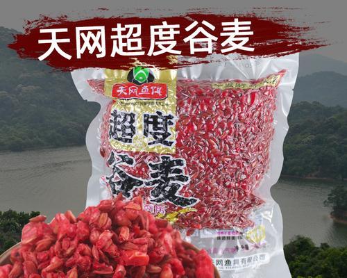 冬天谷麦野钓鲤鱼技巧有哪些？如何提高冬季野钓鲤鱼的成功率？  第1张