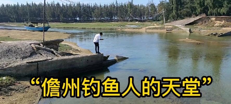 冬天在海南钓鱼有哪些技巧？如何提高钓鱼成功率？  第2张
