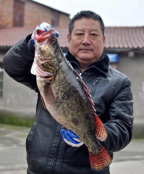 冬天汉江钓鱼有什么技巧？如何应对低温天气的挑战？  第3张