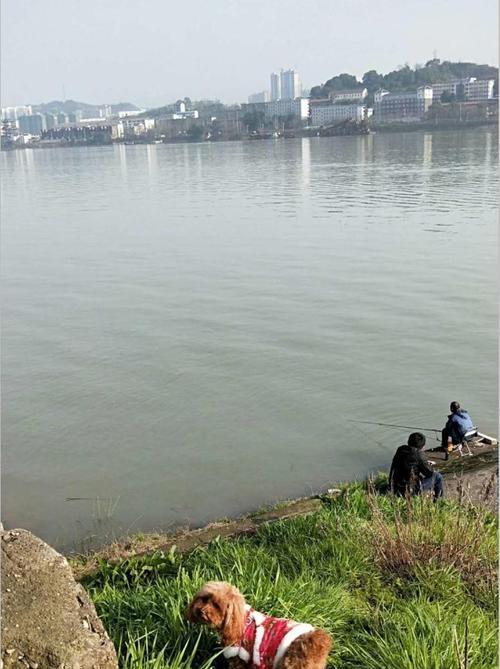 冬天河边钓鱼的方法和技巧是什么？如何提高钓鱼成功率？  第2张