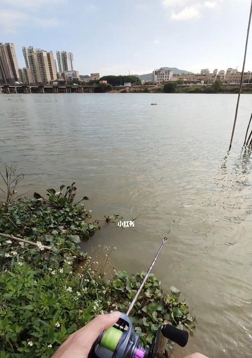 冬天河里钓鱼技巧有哪些？如何提高冬季钓鱼成功率？  第2张