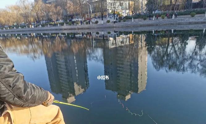 冬天河流水钓鱼技巧有哪些？如何提高冬季钓鱼成功率？  第3张