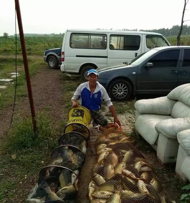 冬天黑坑垂钓技巧有哪些？如何应对冬季垂钓的常见问题？  第3张