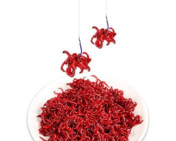 冬天红虫钓鱼调漂技巧是什么？如何提高钓获率？  第3张