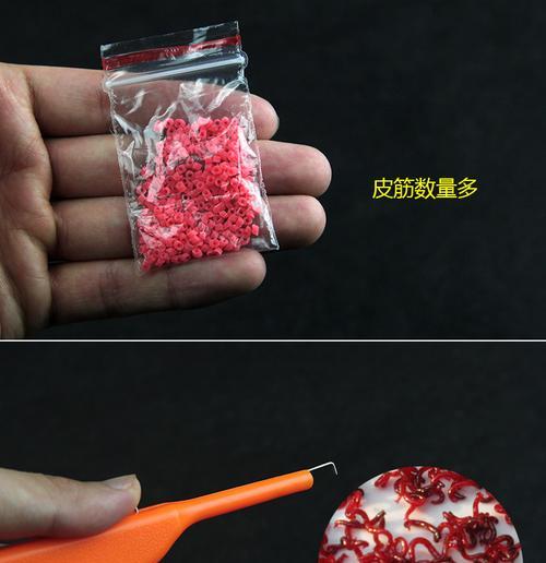 冬天红虫钓鱼技巧教学？如何提高冬季钓鱼成功率？  第3张