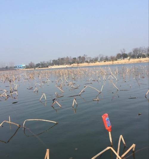 冬天湖面上钓鱼的技巧是什么？如何提高冬季钓鱼的成功率？  第3张