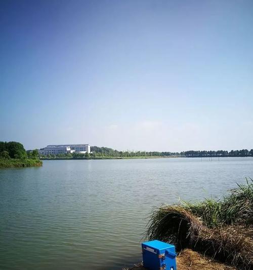冬天湖水结冰钓鱼技巧是什么？如何安全有效地进行冰钓？  第3张