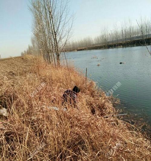 冬天湖水结冰钓鱼技巧和方法是什么？如何安全有效地进行冰钓？  第1张