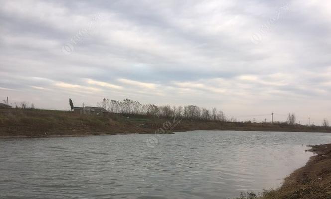 冬天湖水结冰钓鱼技巧和方法是什么？如何安全有效地进行冰钓？  第2张