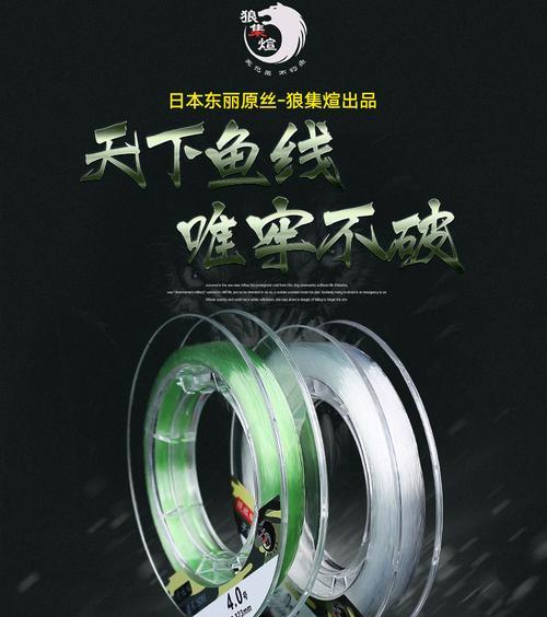 冬天晃竿钓鱼技巧和方法是什么？如何提高冬季钓鱼成功率？  第1张